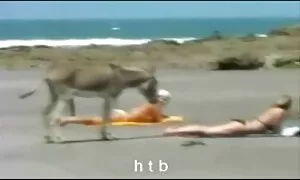 الطلاب الأصغر سنا, الآسيوية الجديدة المعلم لها اجمل ممثلة اباحية :) فيديو إباحي  